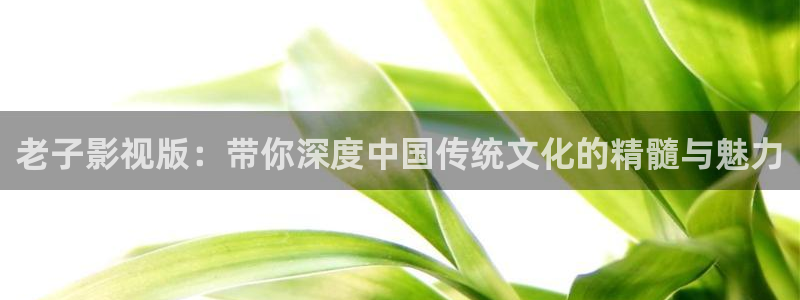 宅男视频wwweee在线观看视频：老子影视版：带你深度中国传统文化的精髓与魅力