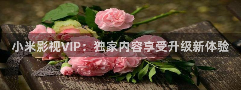 宅男视频色：小米影视VIP：独家内容享受升级新体验