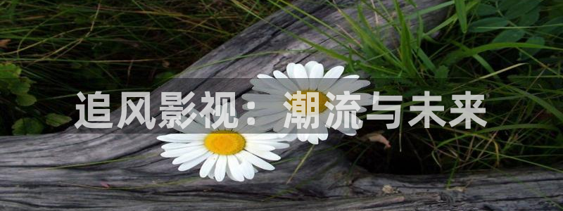 午夜宅男视频网站：追风影视：潮流与未来