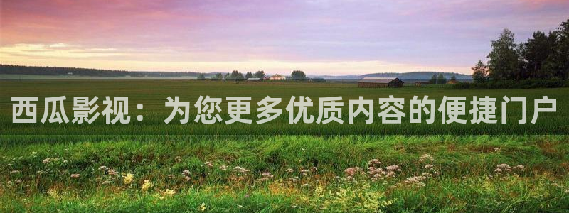 宅男视频中文字幕：西瓜影视：为您更多优质内容的便捷门户
