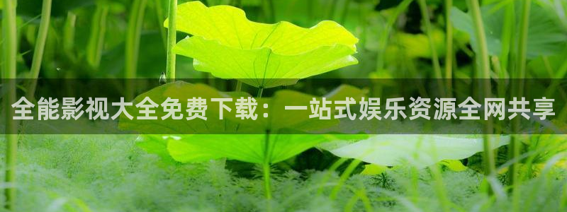 宅男视频网站在线：全能影视大全免费下载：一站式娱乐资源全网共享