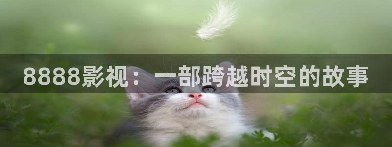 宅男视频导航下载：8888影视：一部跨越时空的故事
