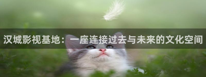 宅男视频一区二区三区在线观看：汉城影视基地：一座连接过去与未来的文化空间