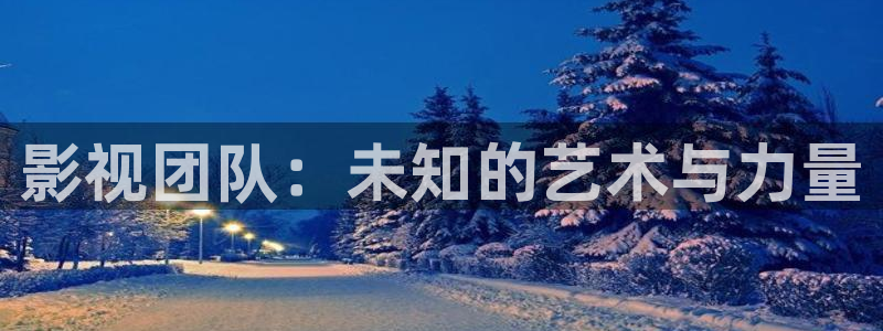 宅男视频观看：影视团队：未知的艺术与力量