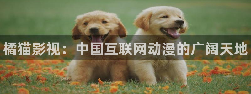 福利社宅男视频：橘猫影视：中国互联网动漫的广阔天地