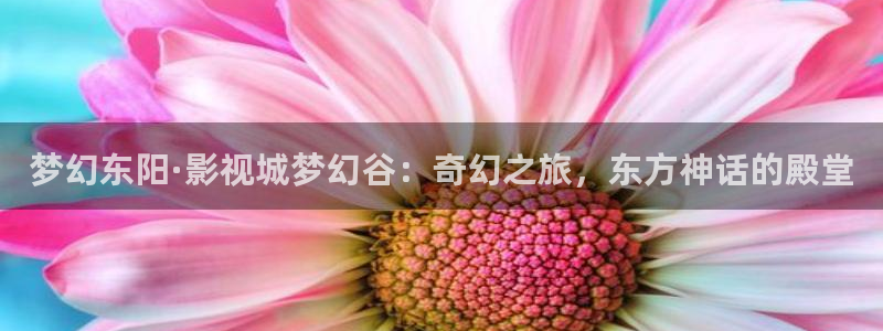 宅男视频成人：梦幻东阳·影视城梦幻谷：奇幻之旅，东方神话的殿堂