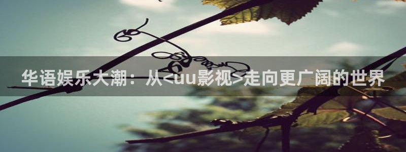 成人宅男视频在线观看：华语娱乐大潮：从<uu影视>走向更广阔的世界