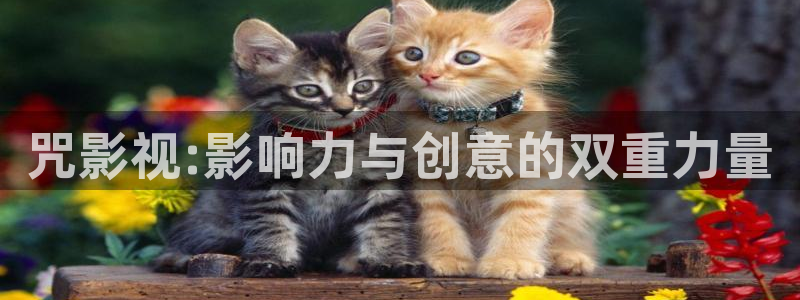 宅男视频污秽：咒影视:影响力与创意的双重力量